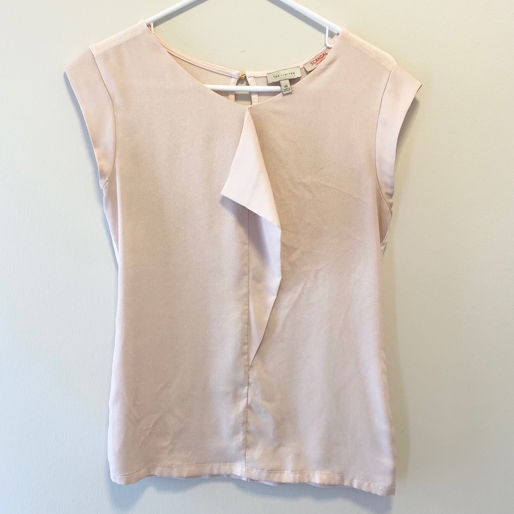 The Limited Blouse